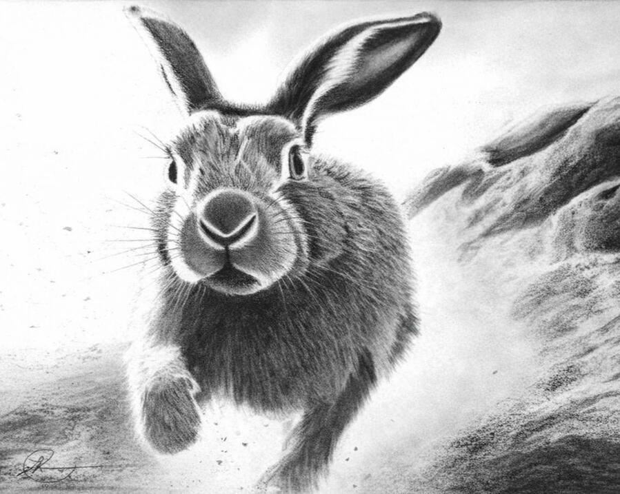 Flashpoint Charcoal and Pastel